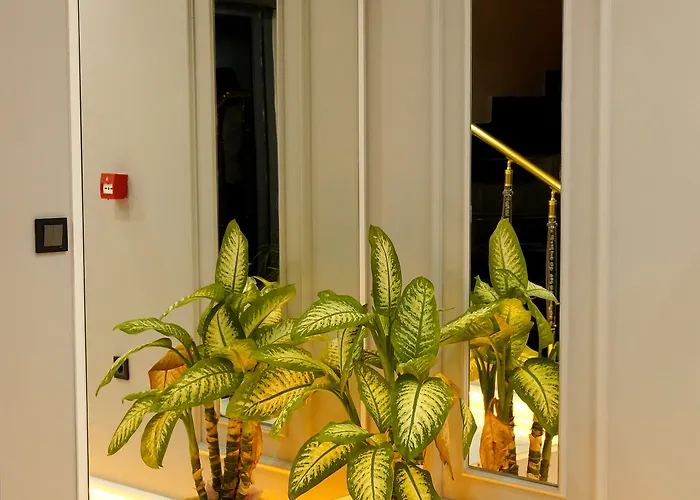 Greenwich イスタンブール